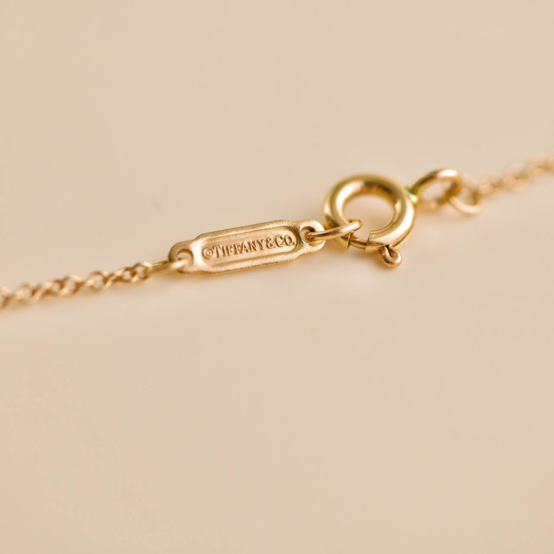 Tiffany & Co. Save the Wild Charity Collection 18K Rose Gold Lion Pendant Necklace