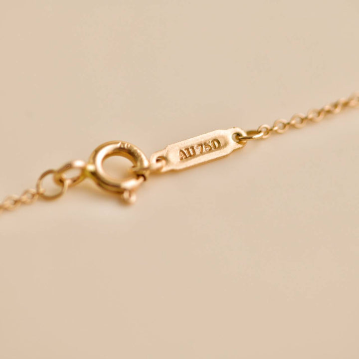 Tiffany & Co. Save the Wild Charity Collection 18K Rose Gold Lion Pendant Necklace
