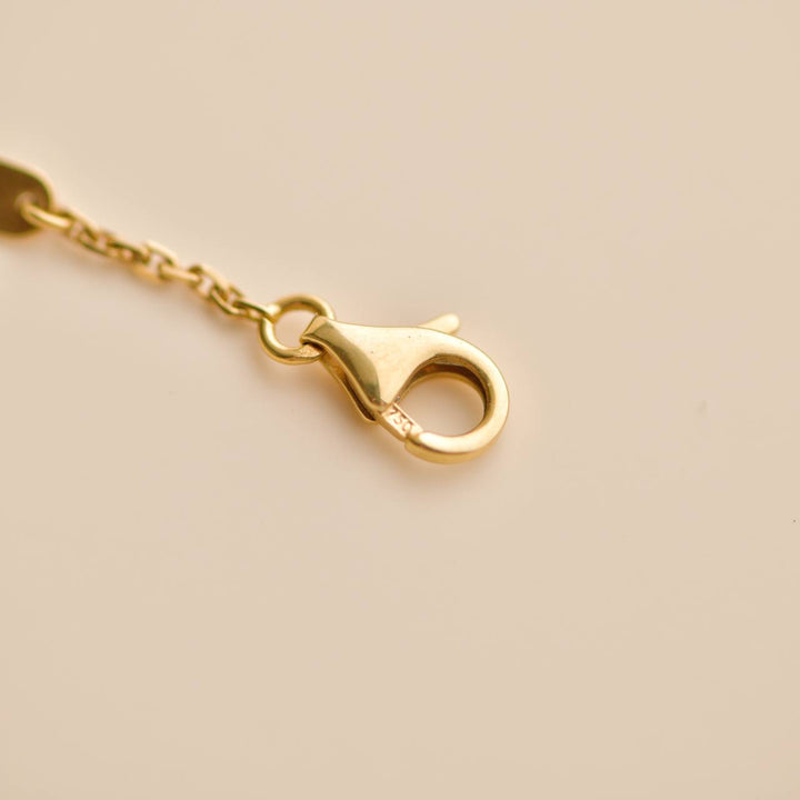 Second Hand Van Cleef Lucky Alhambra Butterfly Tiger Eye Yellow Gold Pendant Necklace