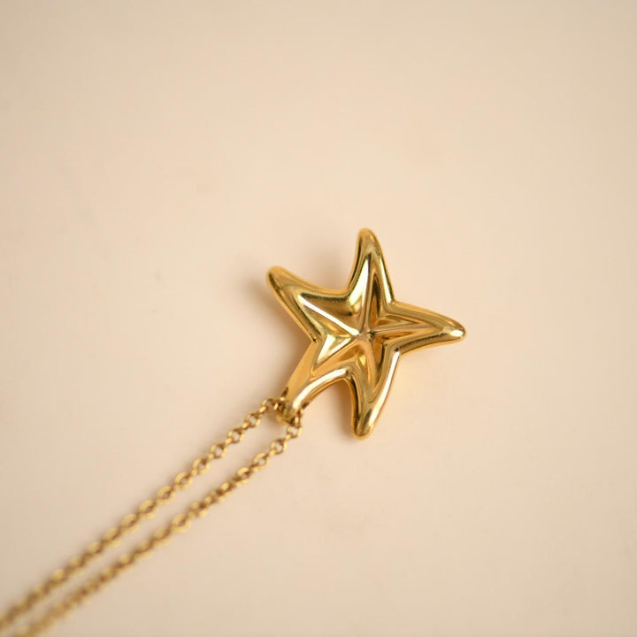 Second Hand Tiffany Elsa Peretti Diamond Starfish Pendant Necklace