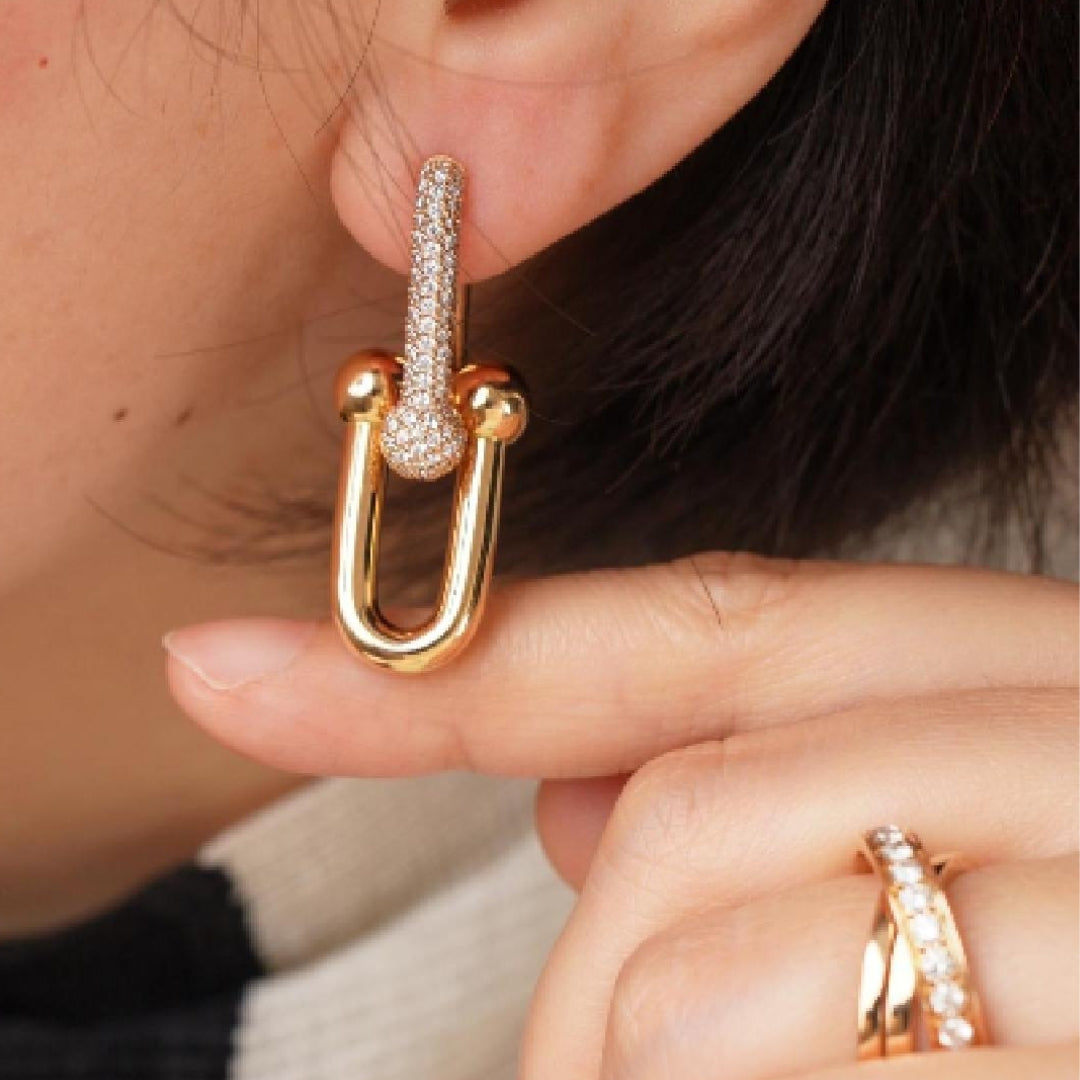 Tiffany & Co. HardWear Link Earrings