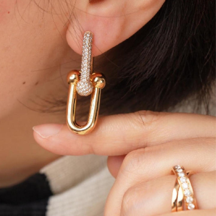 Tiffany & Co. HardWear Link Earrings