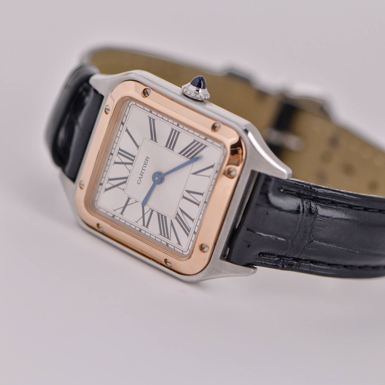 Cartier Santos Dumont Watch Small Model W2SA0012 Dandelion Antiques