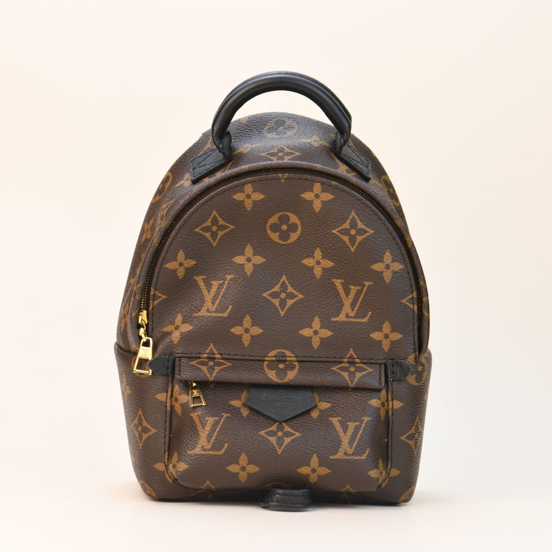 Louis Vuitton Palm Springs Mini Monogram Backpack - Used