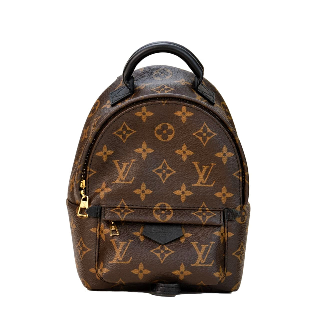 Louis Vuitton Palm Springs Mini Backpack – Dandelion Antiques