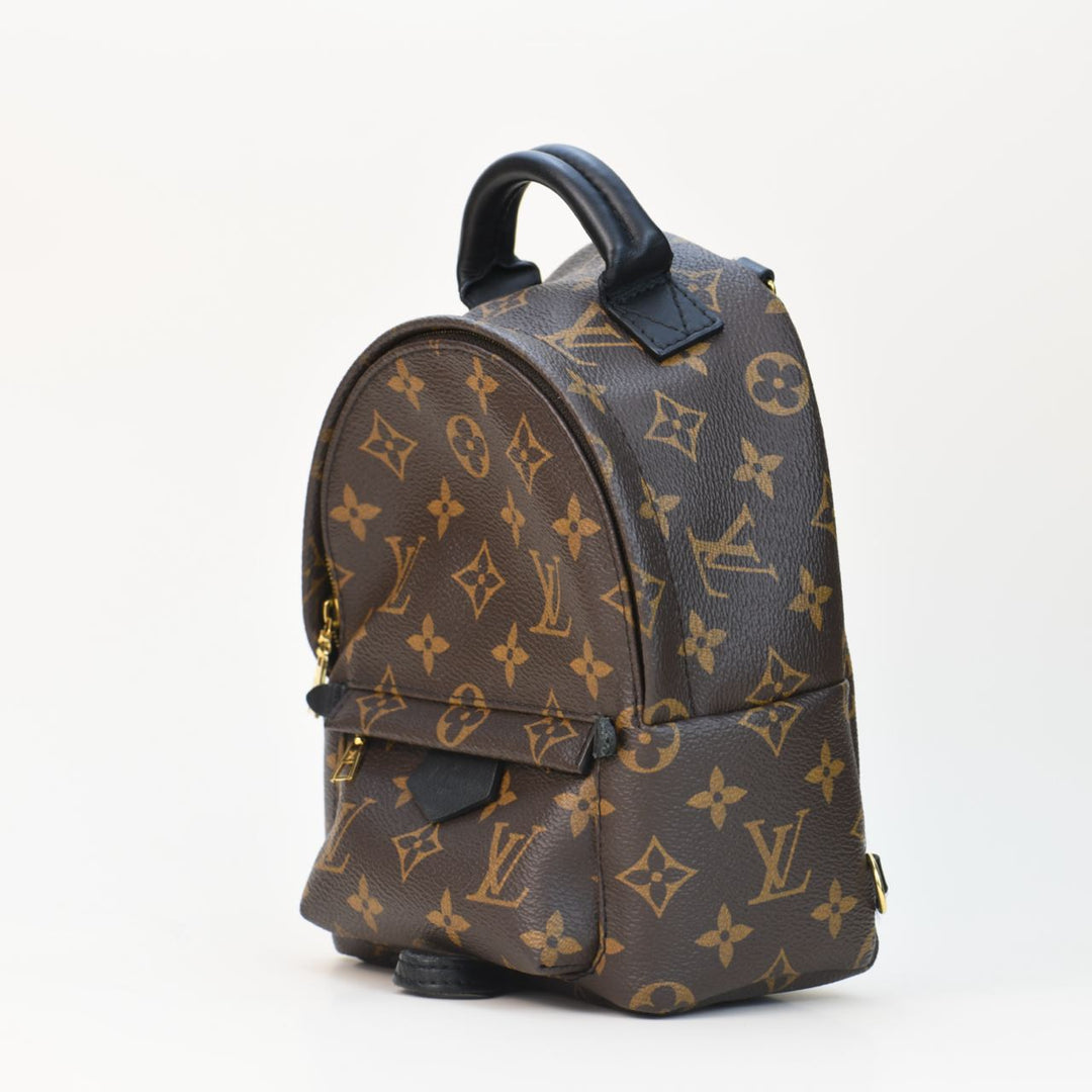 louis vuitton backpack womens uk Louis Vuitton Palm Springs Mini Backpack – Dandelion Antiques