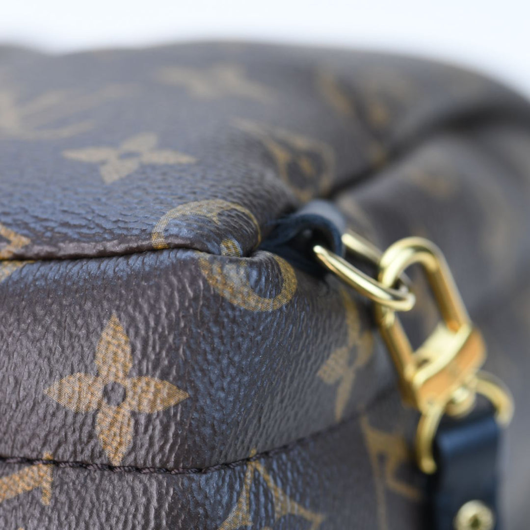 Louis Vuitton Palm Springs Mini Backpack – Dandelion Antiques