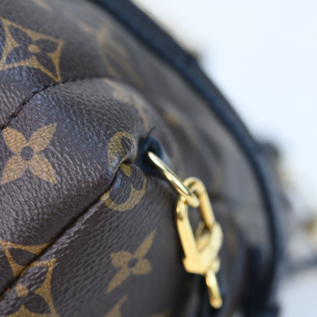 Louis Vuitton Palm Springs Mini Backpack – Dandelion Antiques