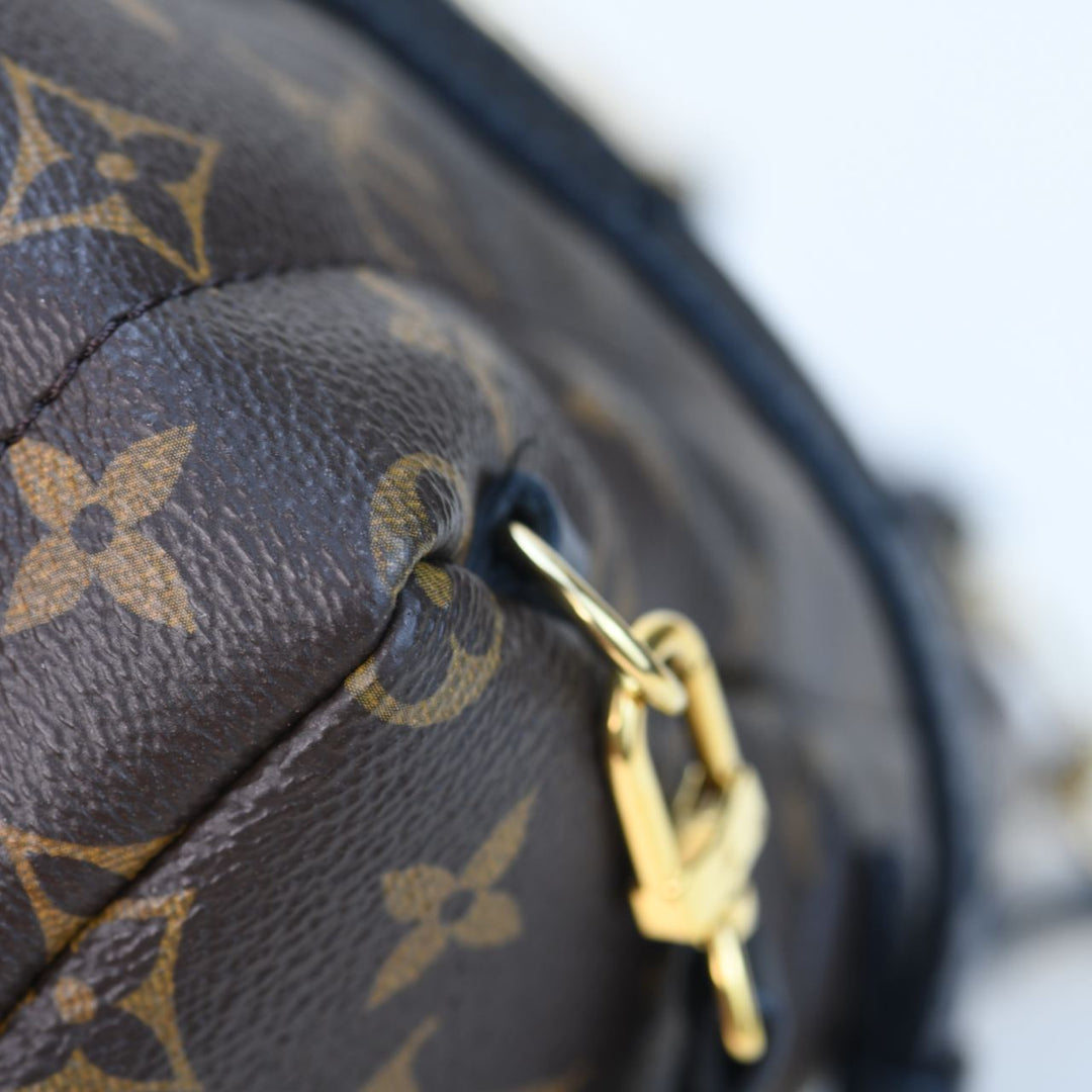 Louis Vuitton Palm Springs Mini Backpack Monogram - Luxury Shopping
