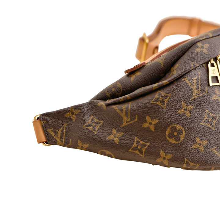 Louis Vuitton Monogram Canvas Bumbag