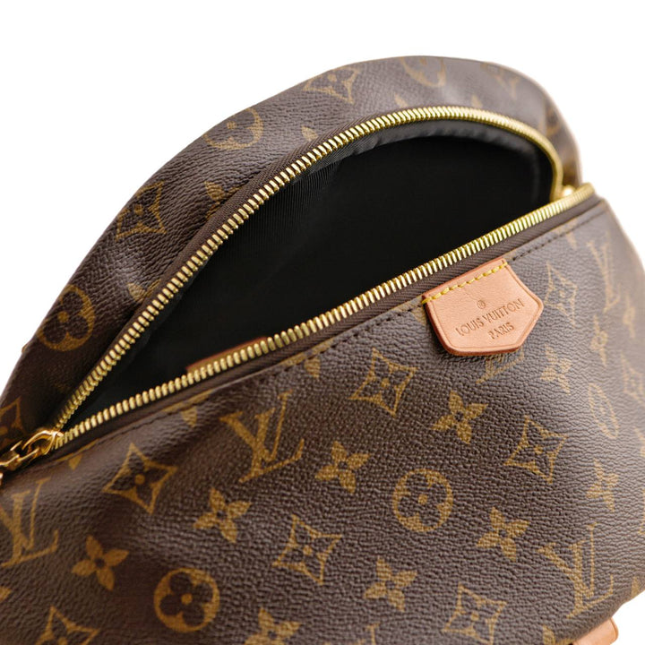 Louis Vuitton Monogram Canvas Bumbag