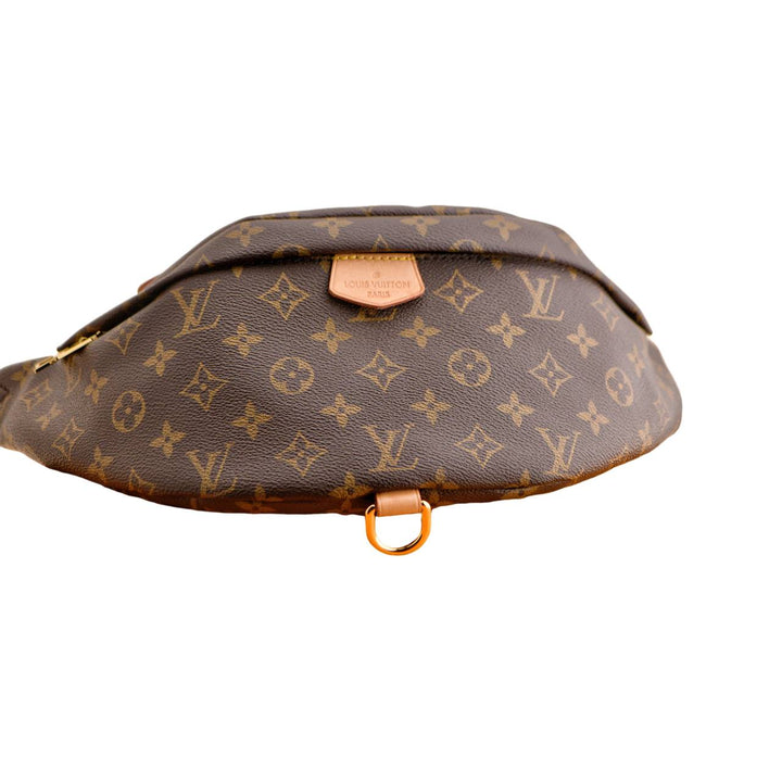 Louis Vuitton Monogram Canvas Bumbag