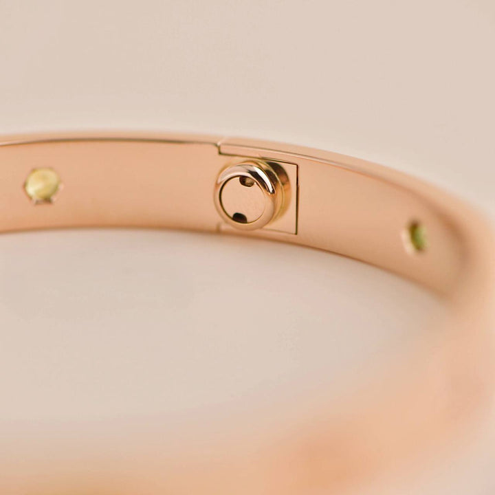 Pre-loved Cartier Love Bracelet 10 Multi Gemstone Rose Gold