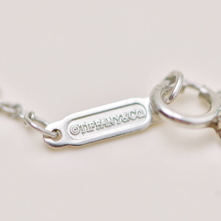 Second Hand Authentic Tiffany Platinum Diamond Sixteen Stone Circle Pendant Necklace
