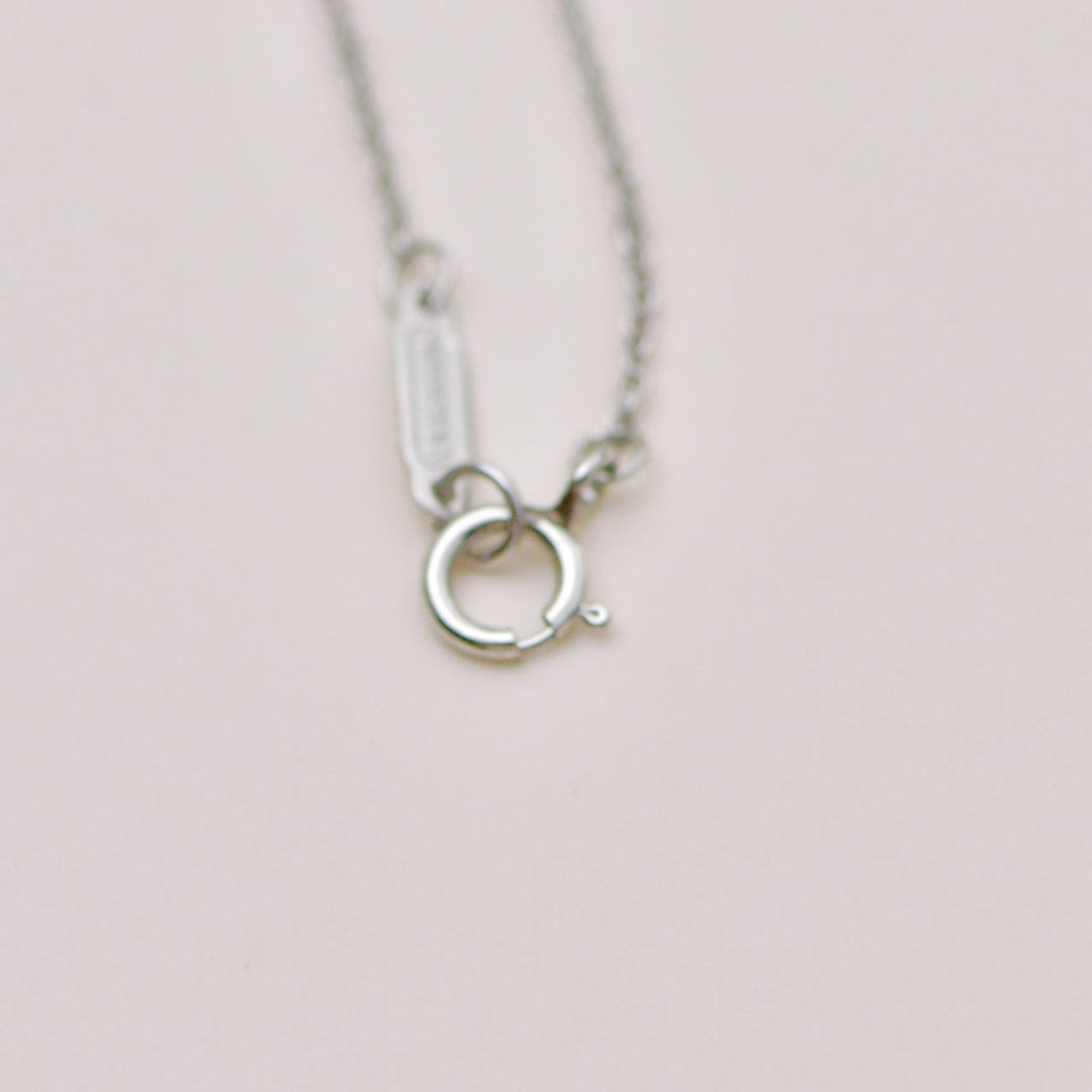 Preloved Tiffany Platinum Diamond Sixteen Stone Circle Pendant Necklace