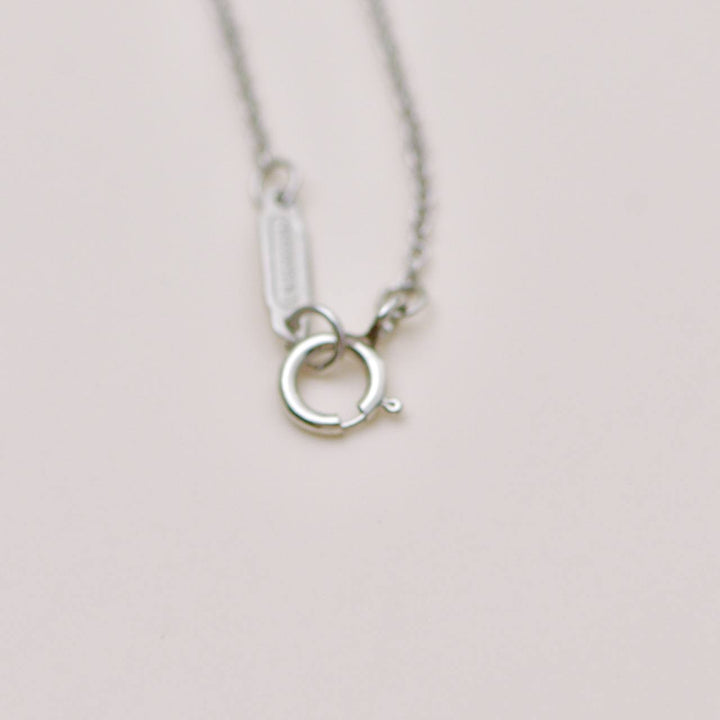 Preloved Tiffany Platinum Diamond Sixteen Stone Circle Pendant Necklace