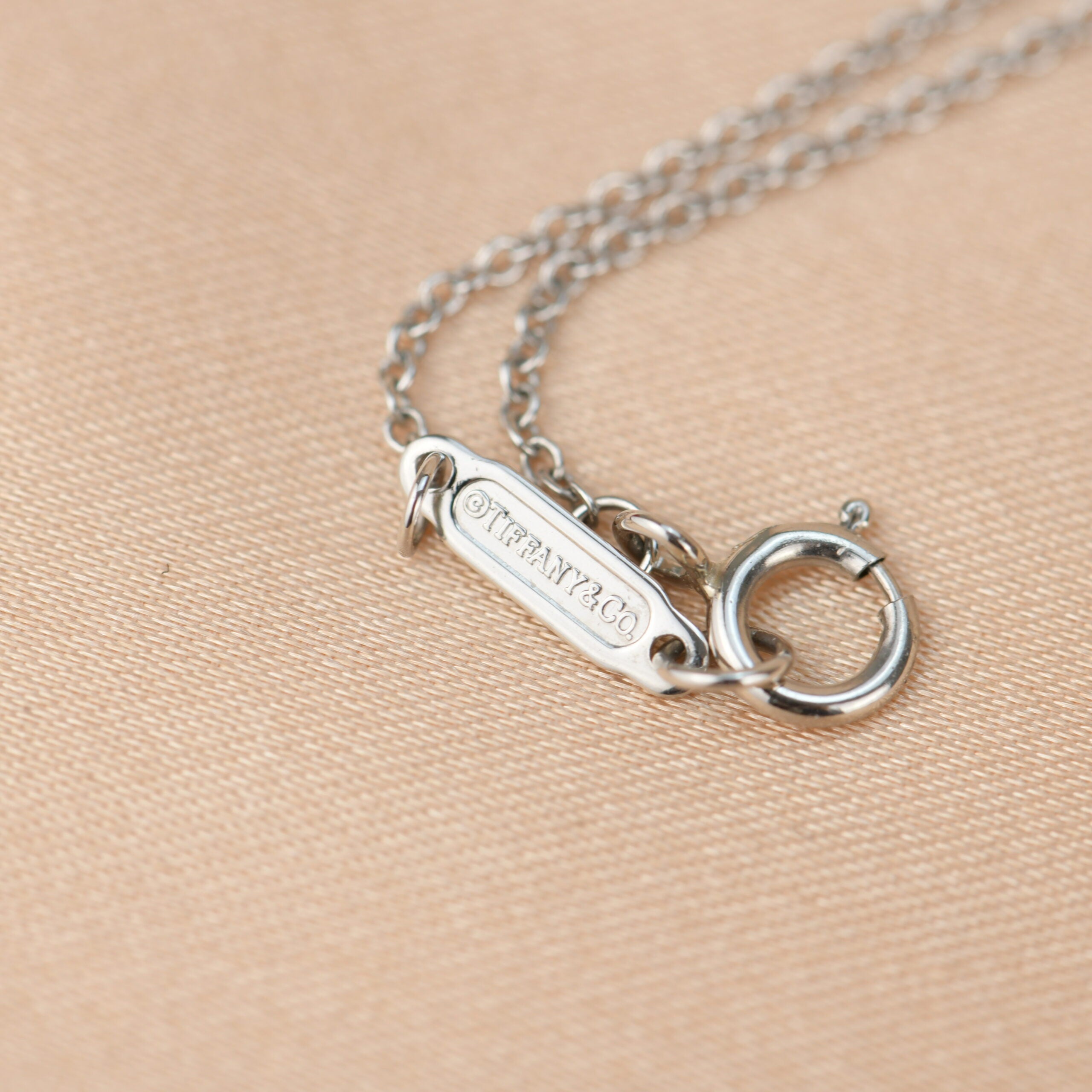 Tiffany & Co. Mini Horseshoe Pendant Necklace with Diamonds – Oliver  Jewellery