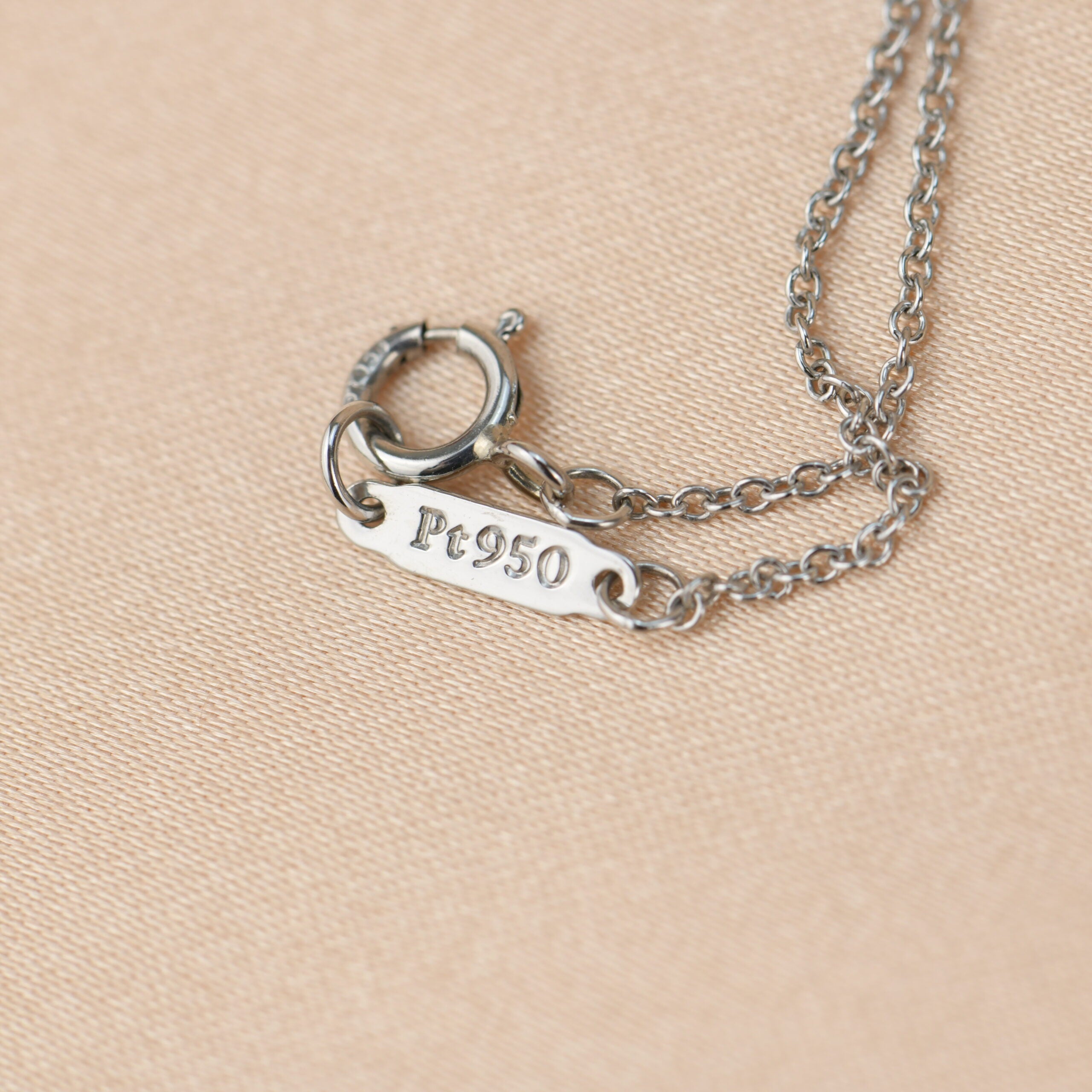 Tiffany Horseshoe Necklace (Silver) | ShopLook