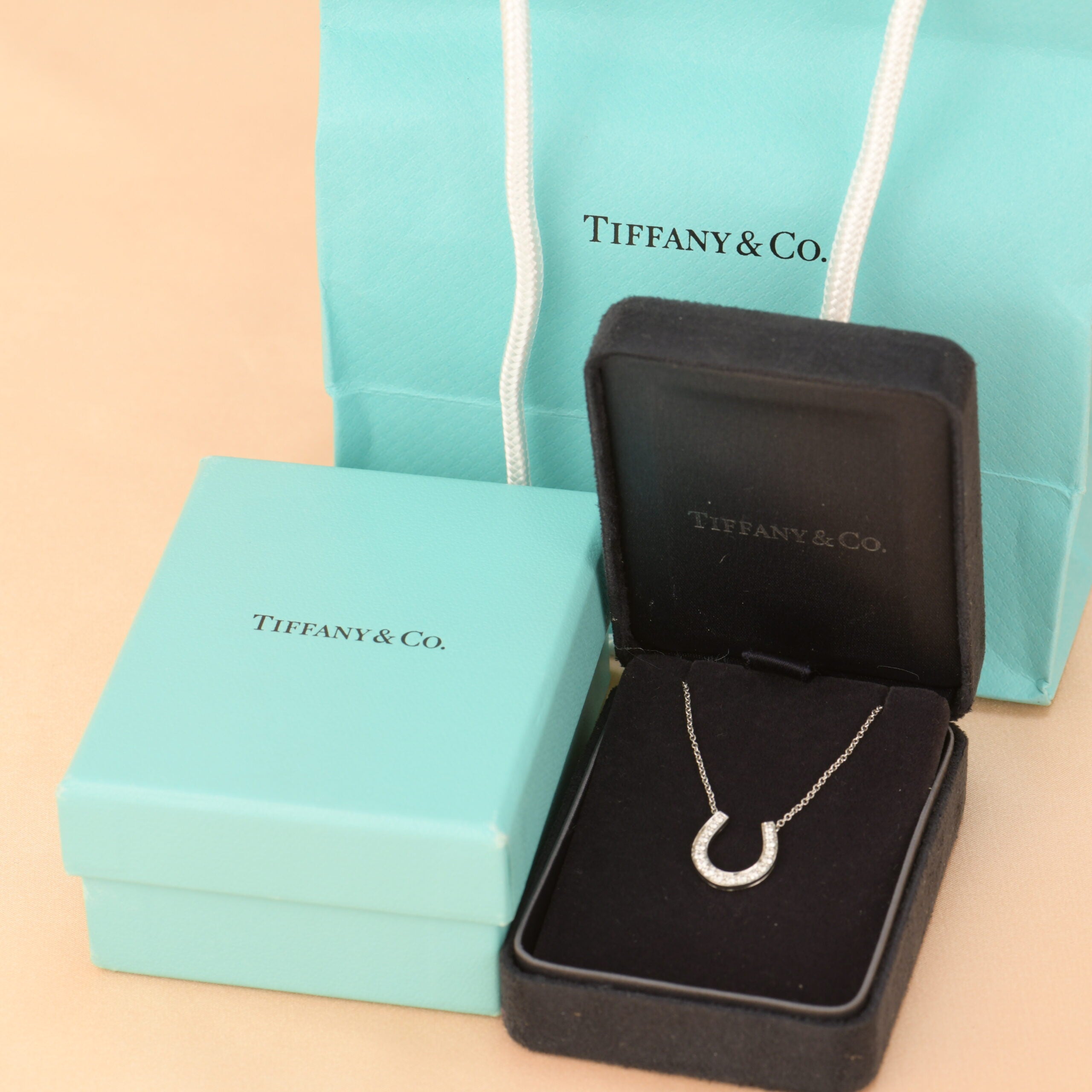 Tiffany & Co. Poetry in Motion Horseshoe Pendant | New York Jewelers Chicago