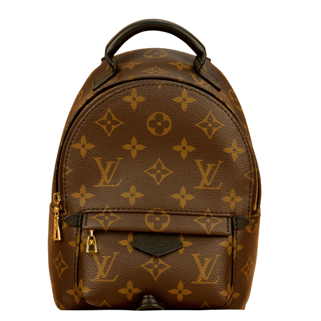 Louis Vuitton Palm Springs Mini Backpack – Dandelion Antiques
