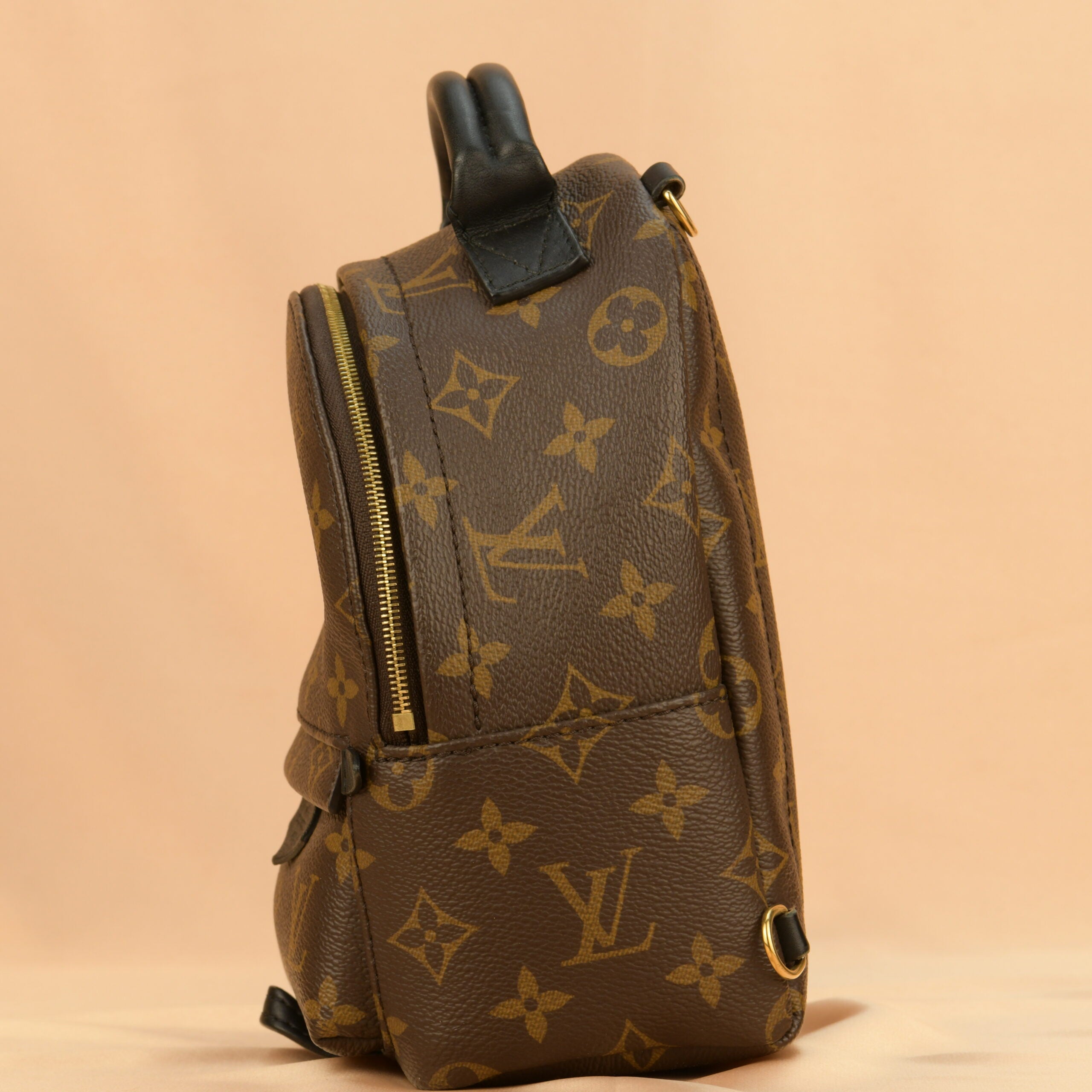 Louis Vuitton Palm Springs Mini Backpack Dandelion Antiques