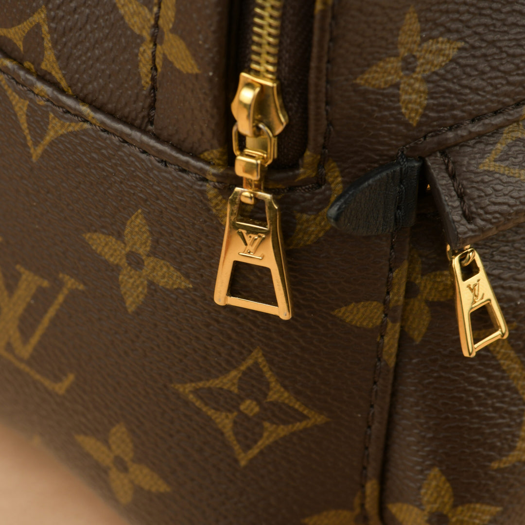 Louis Vuitton Palm Springs Mini Backpack – Dandelion Antiques